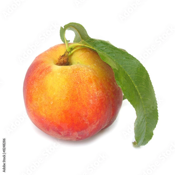 Fototapeta Nectarine peach with leaf 