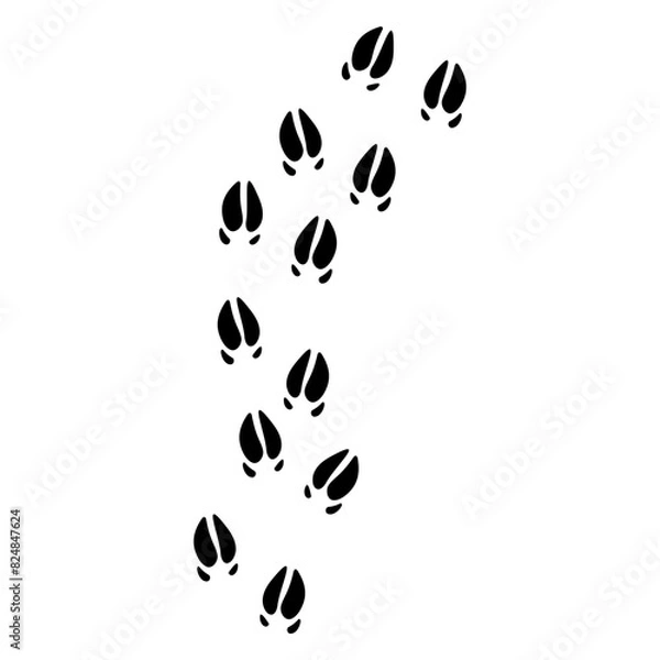 Obraz flat Boar track footprints vector 