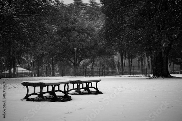 Obraz 雪の日の公園