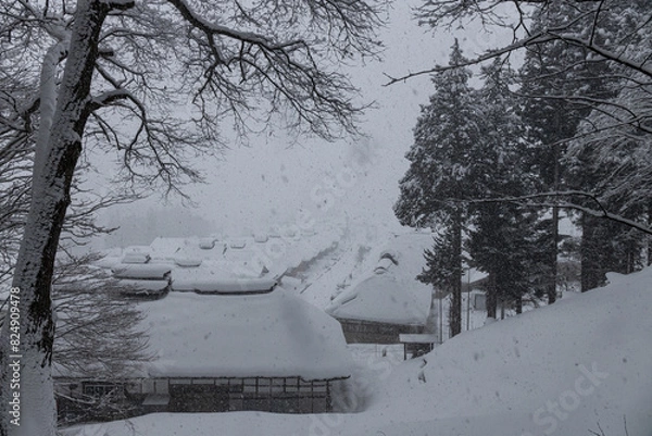 Fototapeta 日本の田舎の雪景色