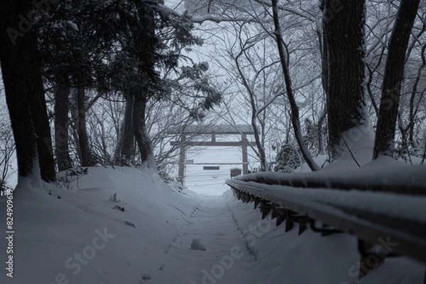 Obraz 鳥居の雪景色