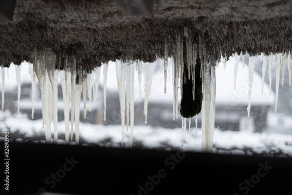 Obraz 氷柱と雪景色