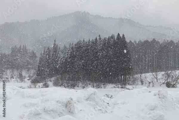 Fototapeta 山の雪景色