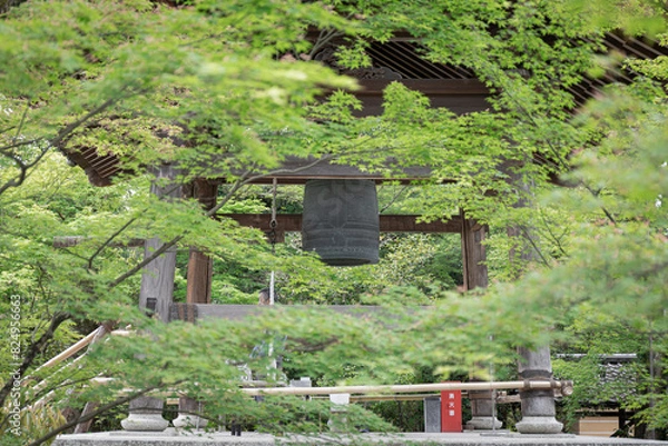 Fototapeta 新緑と鐘