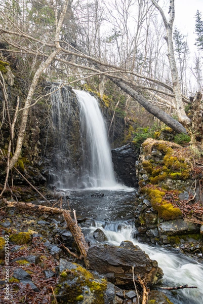 Obraz waterfall in the forest