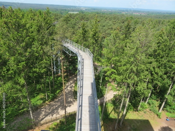 Fototapeta Baumwipfelpfad