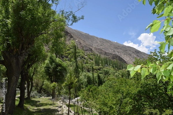 Fototapeta landscape with trees and clouds