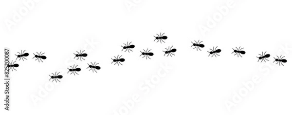 Fototapeta Black ants line 1 on a white background, vector illustration.