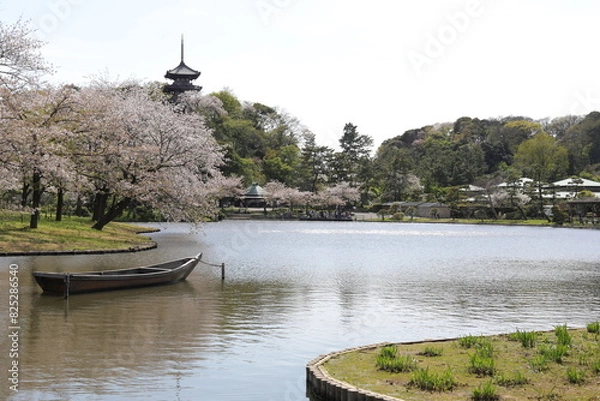 Obraz 三渓園１２