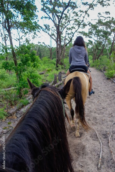 Obraz view riding on horse in line through a forest, pov. Mane, horsehair