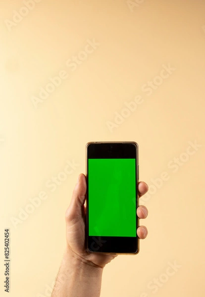 Fototapeta Person holding a smartphone with green screen