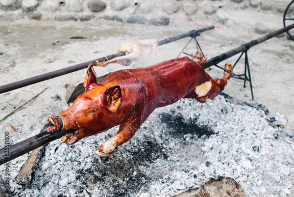 Fototapeta Closeup of the popular and delicious roasted pig known as "lechon baboy" skewered on a spit over burning charcoals on slow cooking or grilling outdoor. Selective focus.