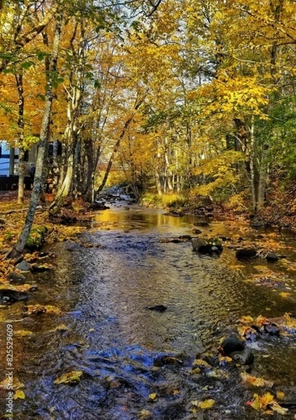 Obraz Fall is fast approaching 