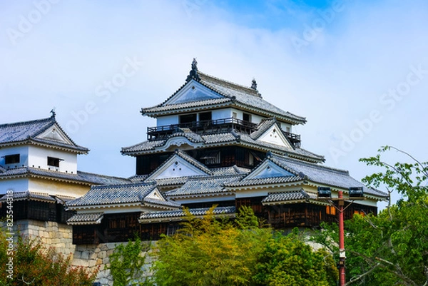 Fototapeta 松山城 愛媛県観光