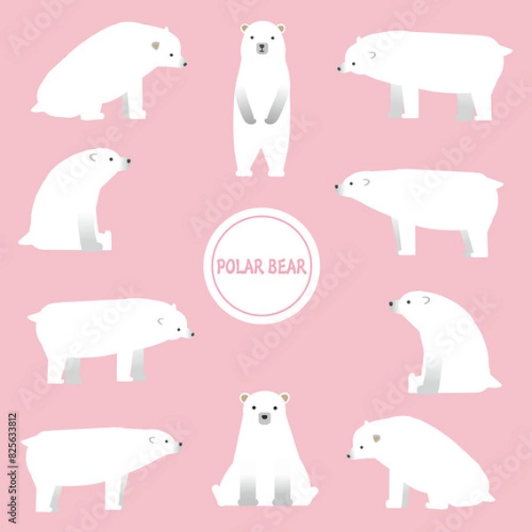 Fototapeta いろんなポーズのシロクマのイラストセット背景ピンク