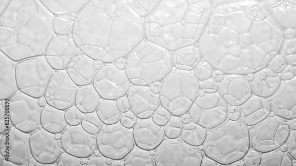 Fototapeta This macro captures the ethereal charm of pristine white bubbles, each shimmering like a miniature pearl, creating a captivating visual symphony. 
