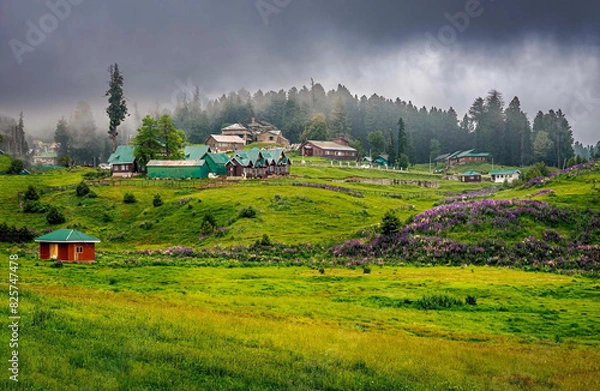 Fototapeta Beautiful Countryside at Gulmarg, Kashmir, India