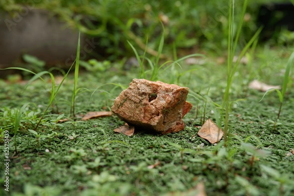 Obraz Stones on the grass