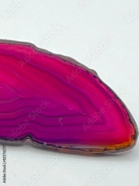 Obraz red onion slice