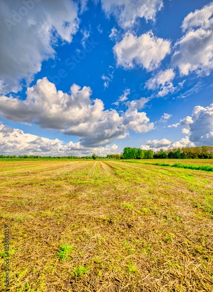 Obraz Impressive cloud formations passing over a rural landscape in The Netherlands.