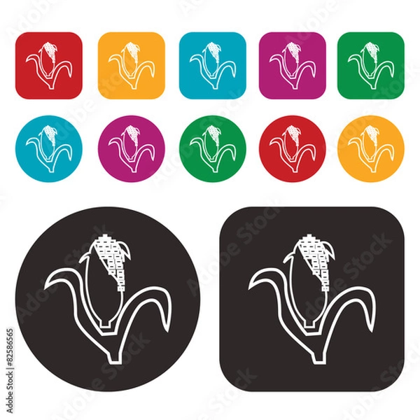 Fototapeta corn icon