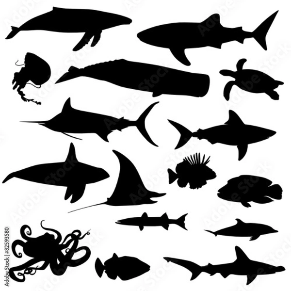 Obraz Meerestiere Set