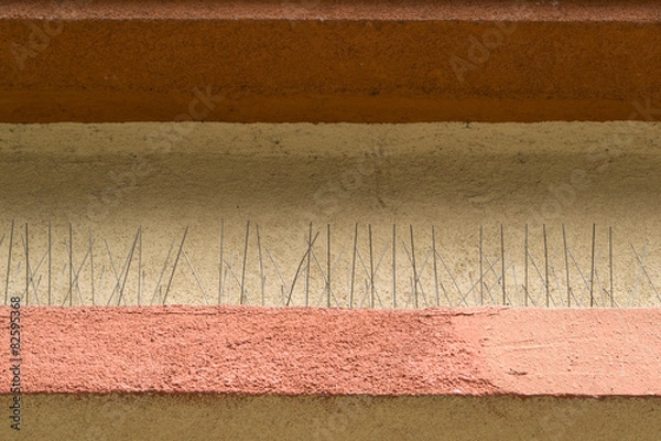 Obraz Anti-pigeon spikes