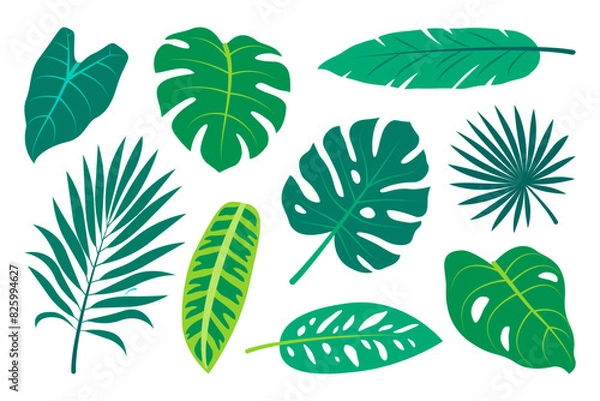 Fototapeta Collection of hand drawn tropical leaves. Exotic leaves set in minimalistic flat style. Vector elements isolated on a white background.
