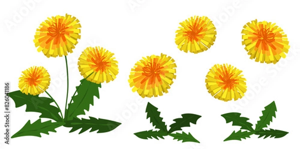 Obraz Dandelion flower background.Eps 10 vector.
