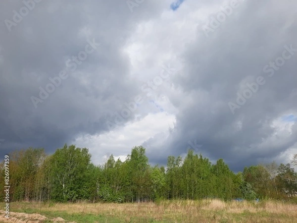 Obraz clouds over the forest