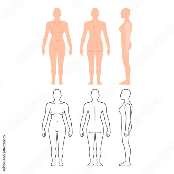 Fototapeta Full length front, back, side view of a lean bald standing naked woman silhouette, isolated on white background. Vector illustration