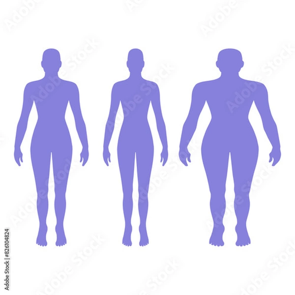 Fototapeta Full length front view of a lean bald standing naked girl silhouette, isolated on white background. Vector illustration