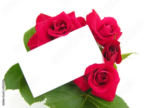 Obraz roses et message