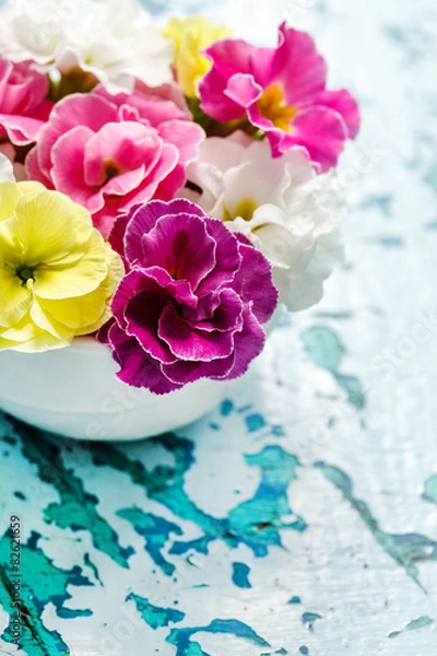 Fototapeta spring flowers