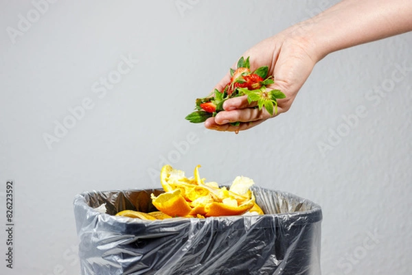 Fototapeta garbage bio waste. sorting and recycling of garbage