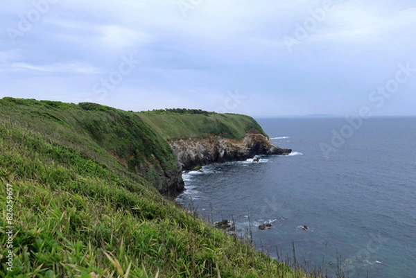 Obraz 城ヶ島の自然で初夏の岬