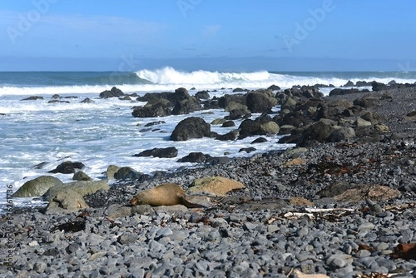 Obraz Becareful, those rocks move!