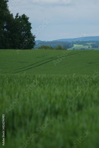 Fototapeta beautiful landscape. mountains and fields in the Czech Republic