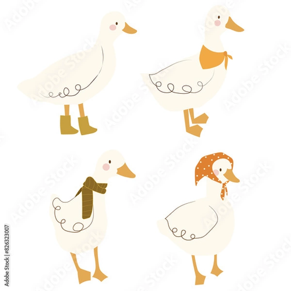 Fototapeta 4 ducks  in spring  time