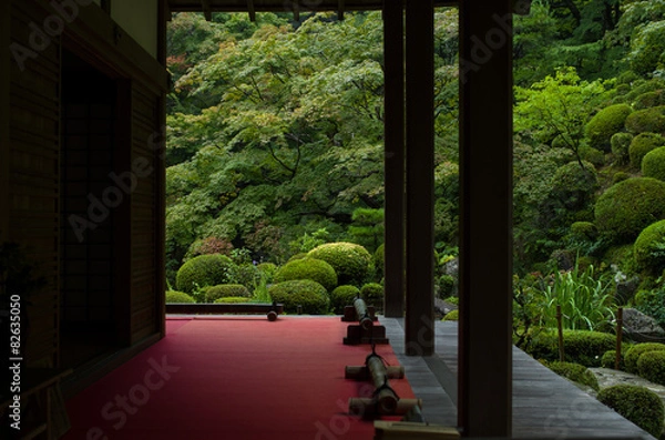 Fototapeta 新緑の庭