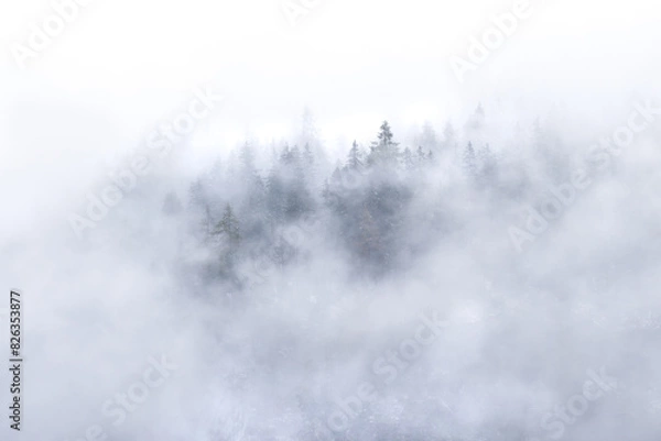 Obraz In your dreams