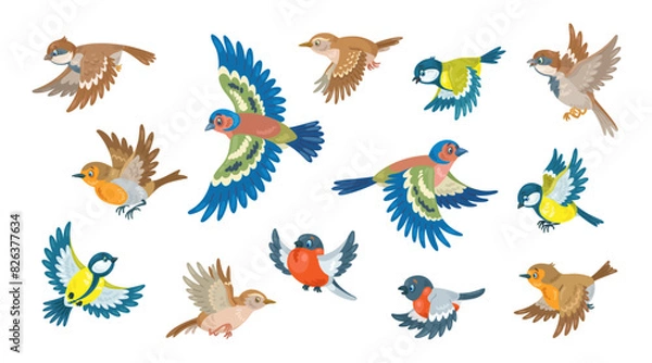 Fototapeta Little birds are flying.  Bullfinch, titmouse, finch, robin, wren and sparrow. Isolated on white background. Vector flat illustration.