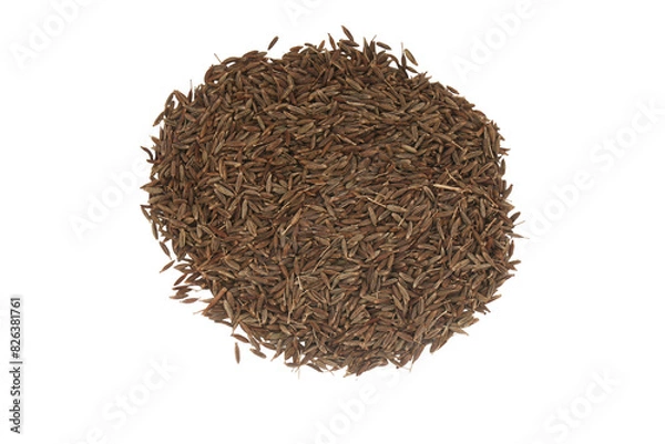 Fototapeta jeera isolated on white background, cumin seeds isolated on white background