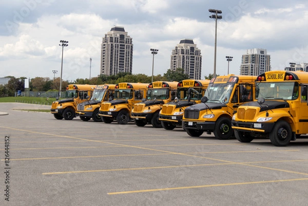 Fototapeta Yellow school buses lined up in empty parking lot - modern buildings and cloudy sky in background. Taken in Toronto, Canada.
