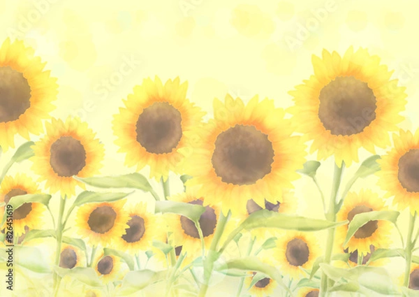 Fototapeta 満開のひまわりの背景