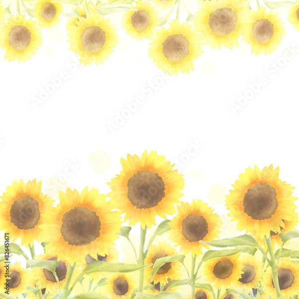 Fototapeta 正方形のひまわりのフレーム