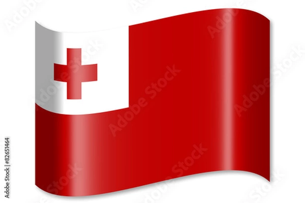 Obraz Waving flag concept