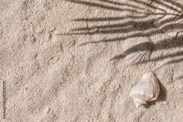 Fototapeta Aesthetic natural summer vacation and resort background, beach sand and sea shells with tropical palm tree leaves sunlight shadows