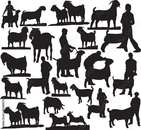 Fototapeta Print Market Goat Silhouette; Market Goat EPS; Show Goat EPS; Showmanship Judging; Boer Goat Clipart; Boer Goat Vector; Market Goat Eps 