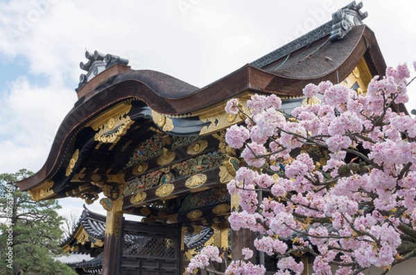 Obraz 二条城の唐門